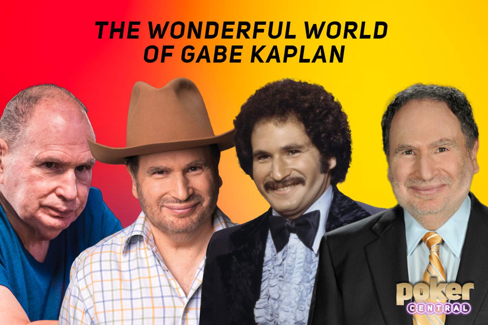 Wonderful World of Gabe Kaplan